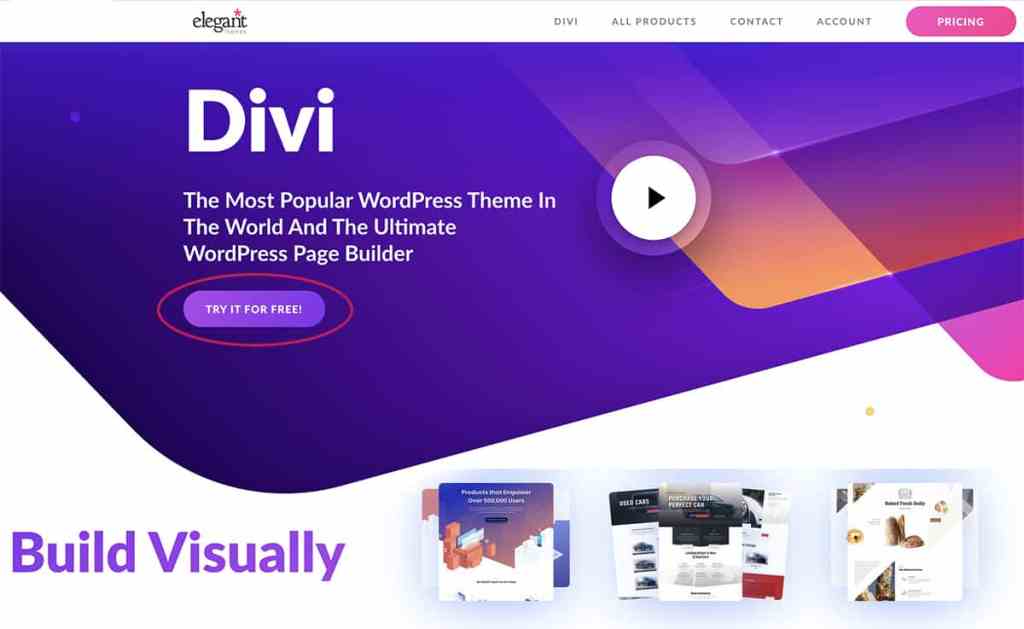 divi elegant themes best WordPress theme