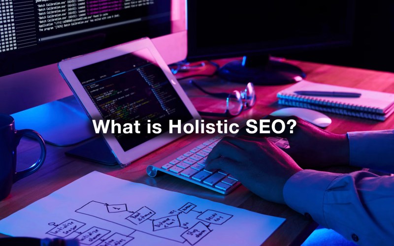 holistic seo