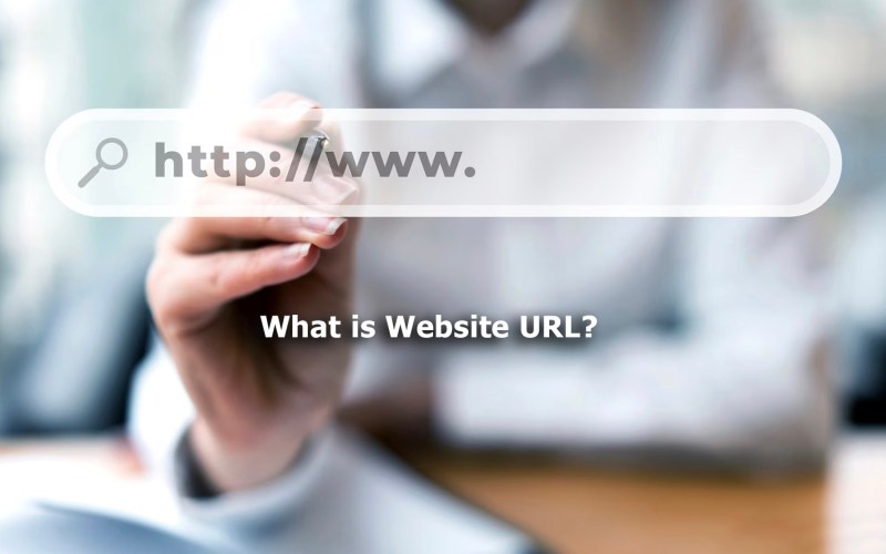 what is website url