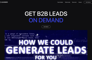 Leadbird-B2B-Lead-Generation-Agency