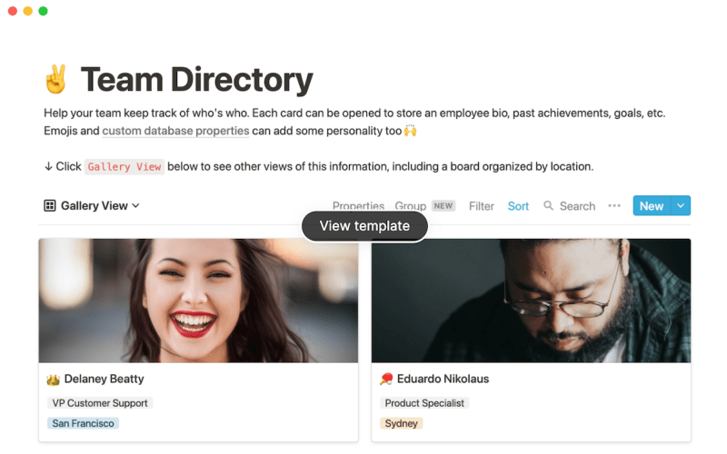 Notion-team-directory-template