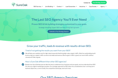 SEO-Agency-Strategy-Consulting-Link-Building-Sure-Oak